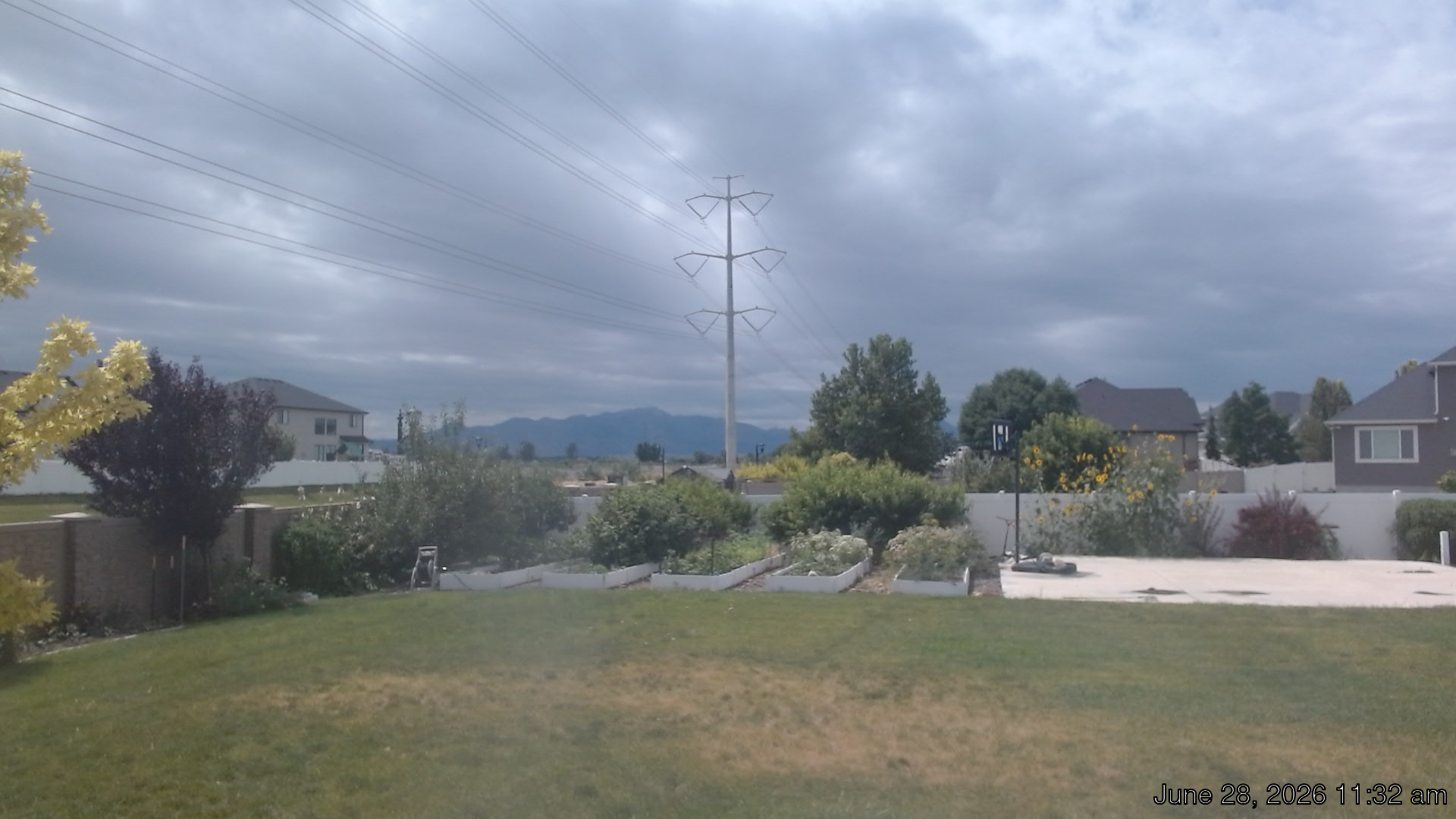 Live Weather Cam