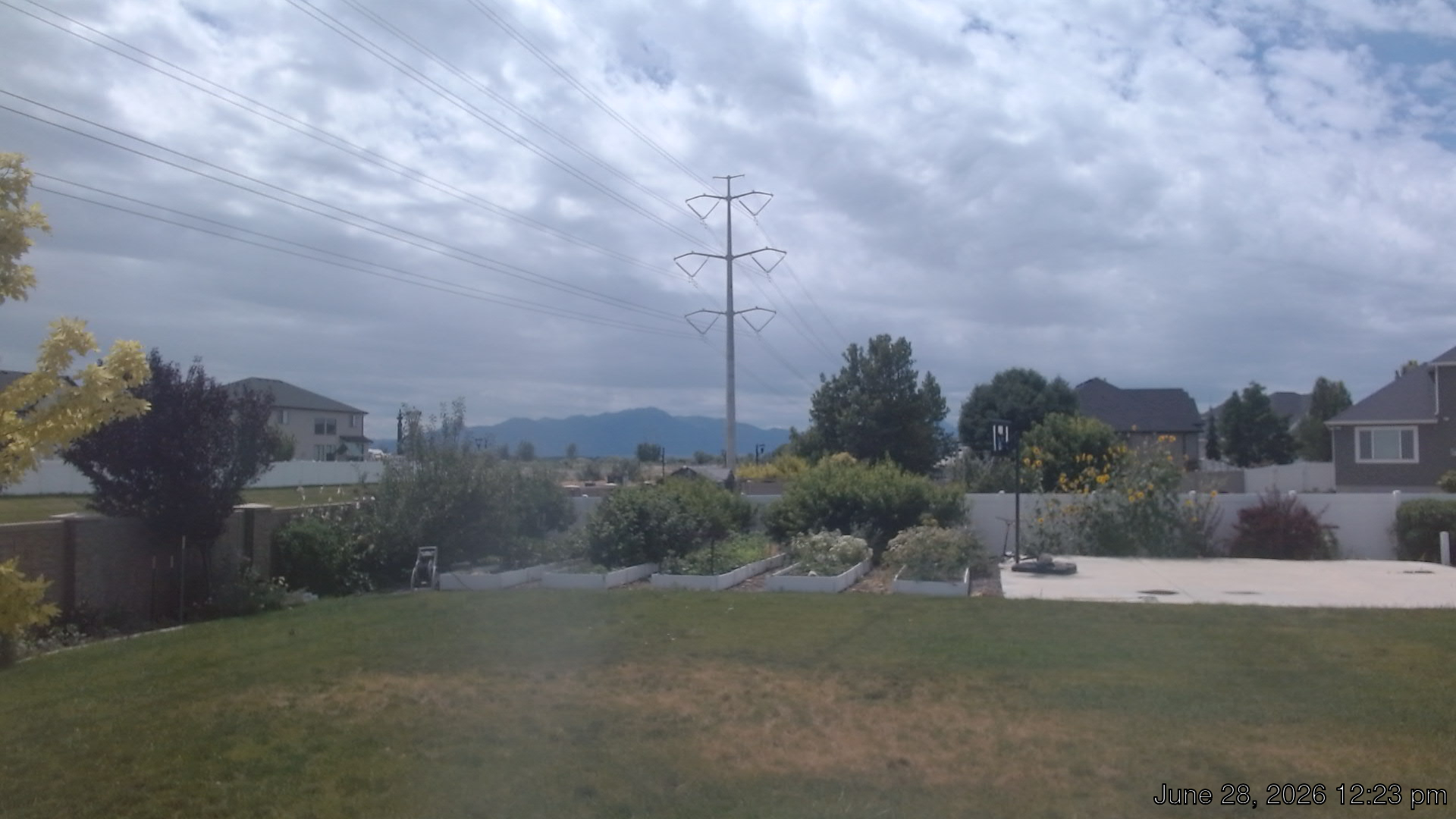 Live Weather Cam